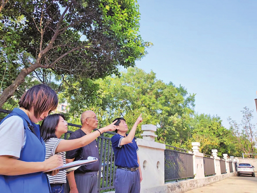 坐下喝盏茶 共商百姓事 干杯议事会开始啦！