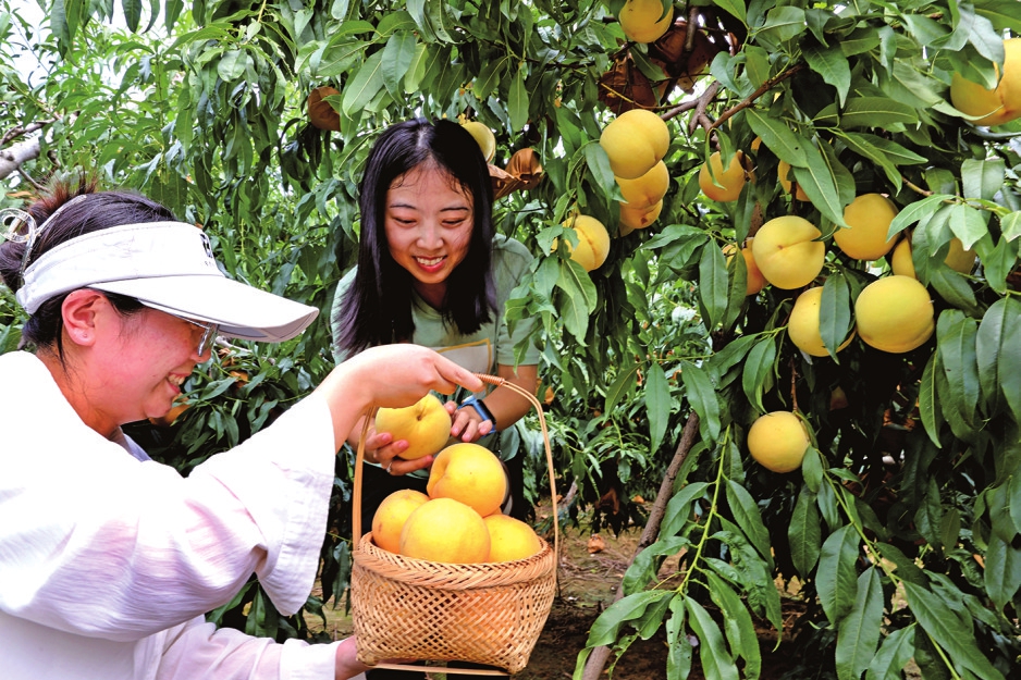 小桥流水风光旖旎 邂逅齐鲁泉乡的“诗和远方”  
