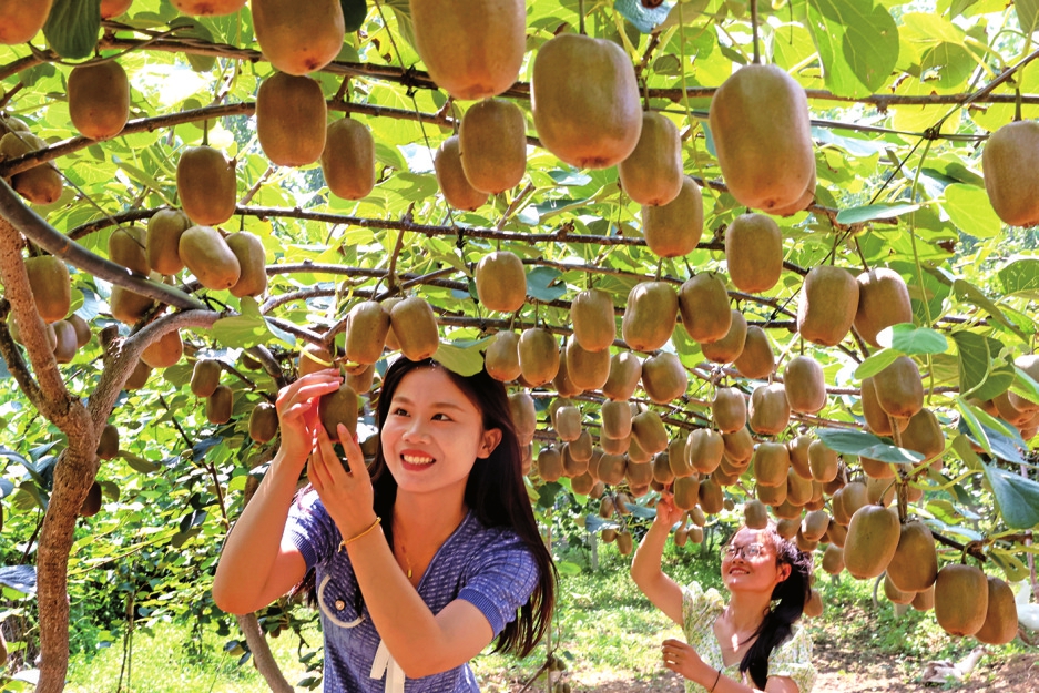 小桥流水风光旖旎 邂逅齐鲁泉乡的“诗和远方”  
