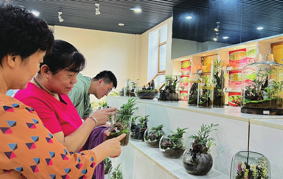 进校园进社区进园区 济南森林公园科普活动丰富多彩