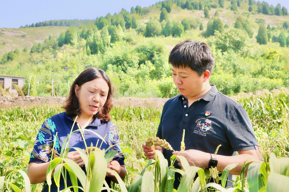 把实干担当写在乡村大地上——记市税务局派驻石匣村第一书记王浩