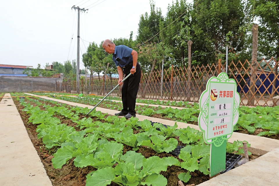 融媒·先锋丨党建品牌带进乡村，创意种子埋进土壤，产业路子就此打开——“头雁”下乡