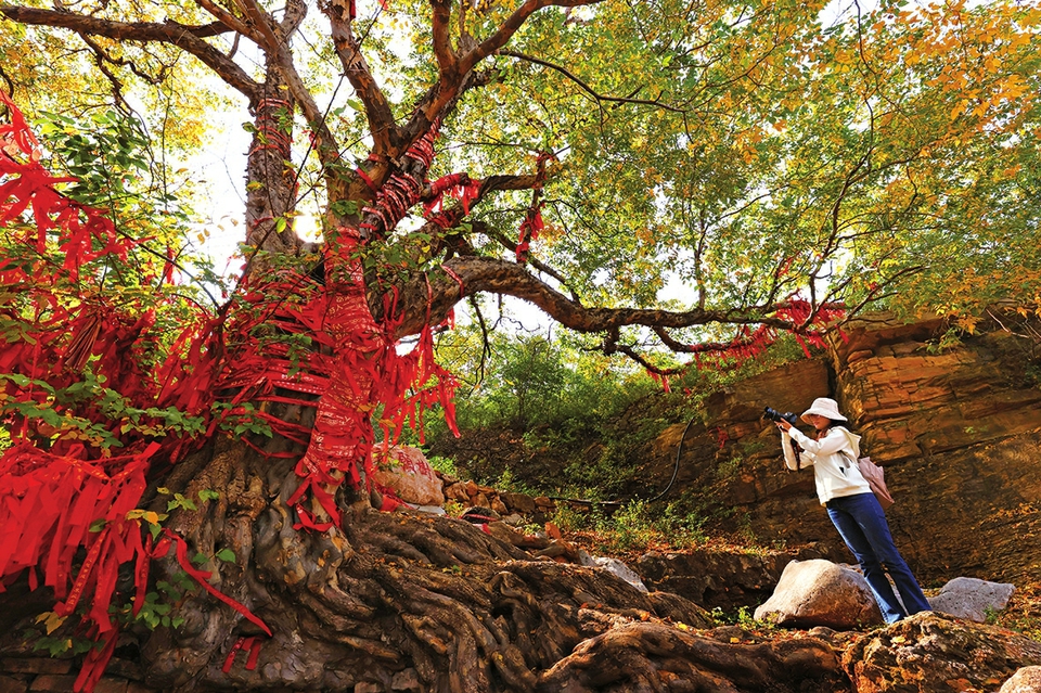 那山 那水 那人！济南画好共富“同心圆”绘就宜居宜业和美乡村新画卷  