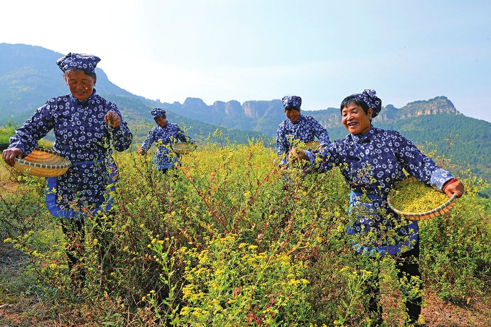 那山 那水 那人！济南画好共富“同心圆”绘就宜居宜业和美乡村新画卷  