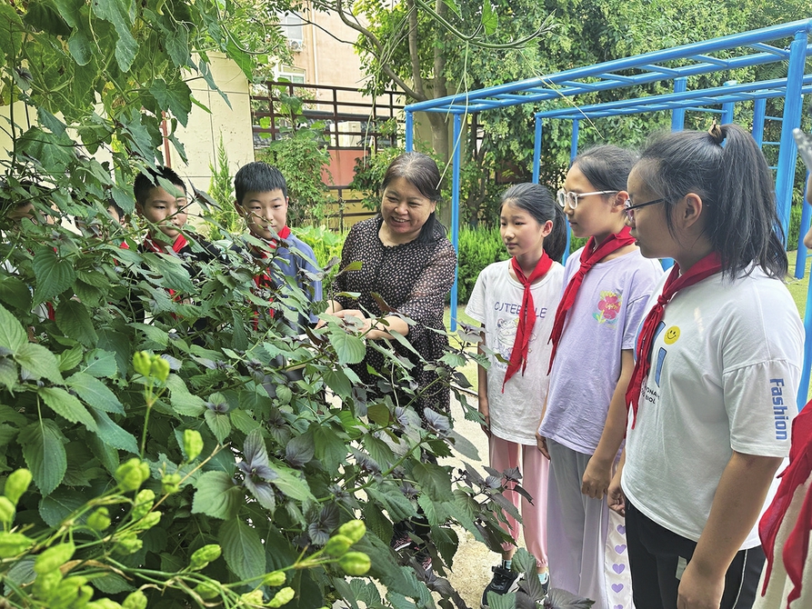 济南市大明湖小学搭建“养正承国粹 百草润童心”育人体系 以中医药文化浸润学生成长